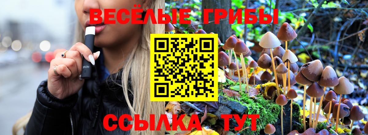 Кстово  Псилоцибиновые грибы Cubensis  Галлюциногенные грибы прущие грибы  Вход с VPN 